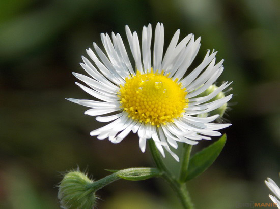 Nikon Coolpix L810: pro nenáročné