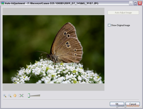 Canon EOS 500D: povedený pokračovatel rodu