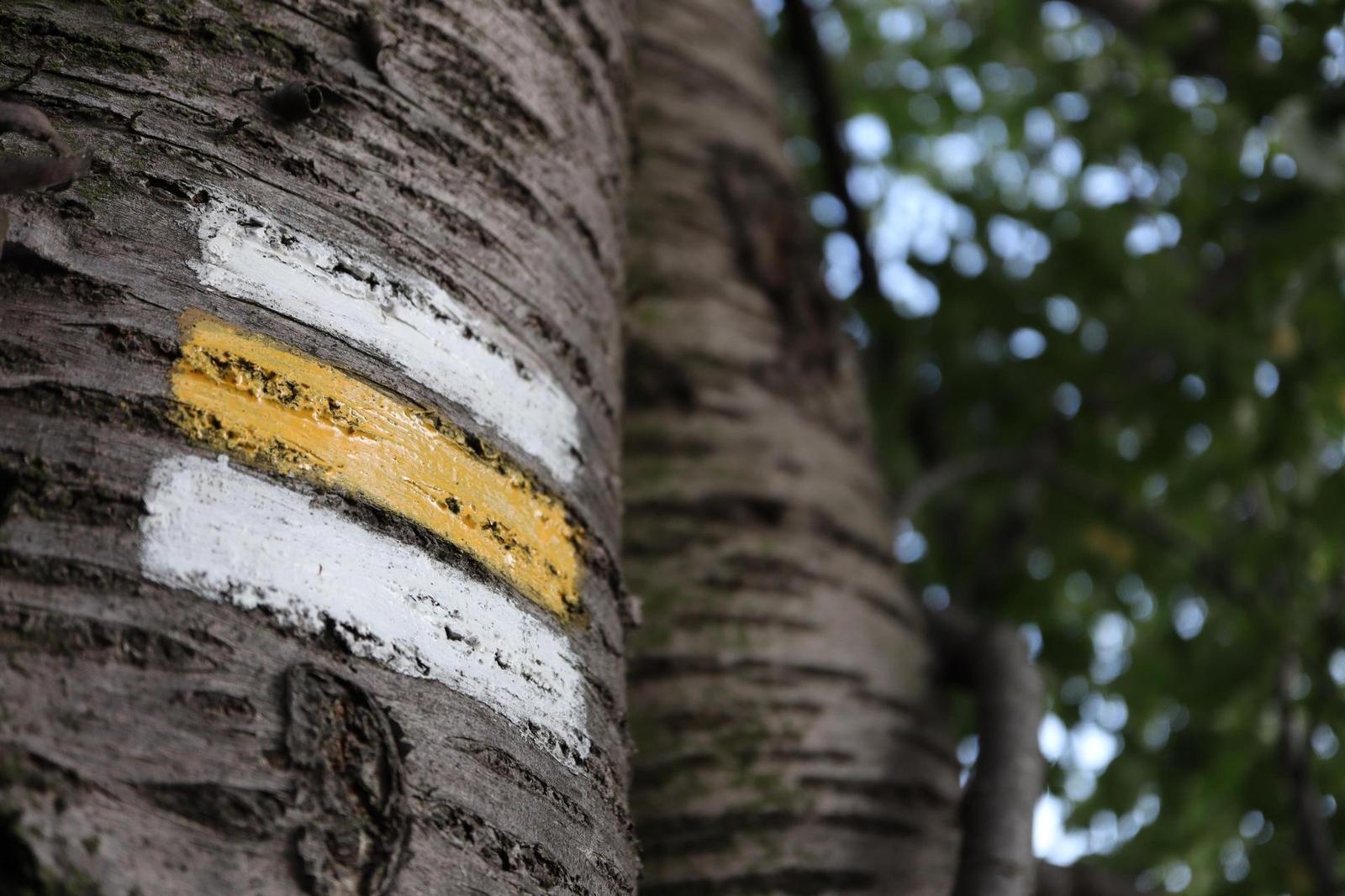 Canon EF-M 28mm f/3.5 Macro IS STM