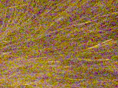 Olympus XZ-1: trefa do černého