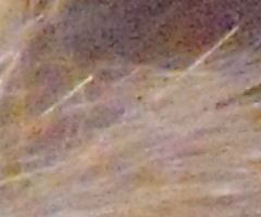 Nikon Coolpix S5100: krok vpřed