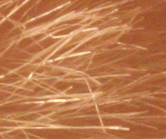 Canon EOS 500D: povedený pokračovatel rodu