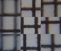 Sony Cyber-shot TX10: odolný zálesák