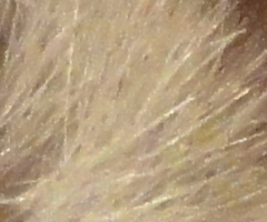 Sony Cyber-shot W350: šikovný prcek