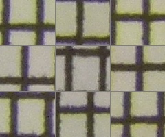 Panasonic Lumix FZ45 a FZ100: na vrcholu