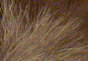 Samsung NX300: spousta kroků vpřed, jeden vzad