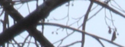 Megatest ultrazoomových objektivů