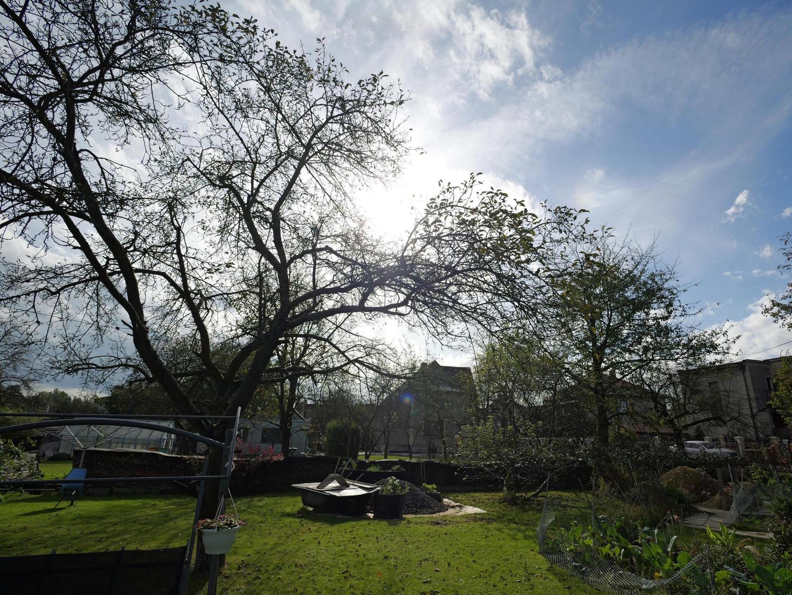 Panasonic Leica Summilux DG 9mm f/1.7 ASPH.