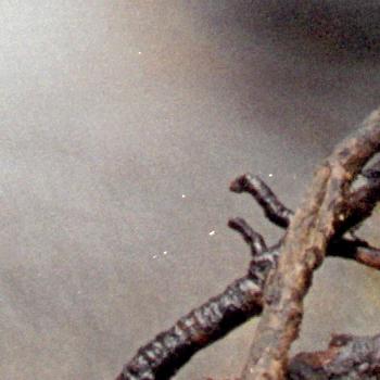 Minolta DiMAGE Dual Scan III: Profík za amatérskou cenu!