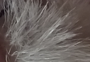 Sony Cyber-shot WX220: ostře nabitý drobek