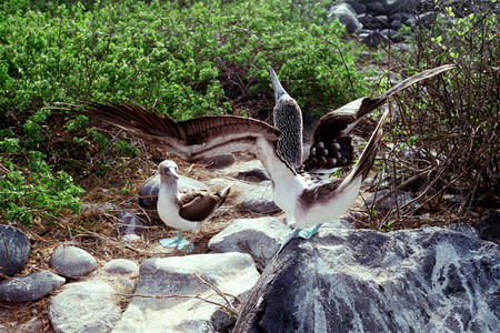 Světlo aneb nástroj každého fotografa - 4. díl