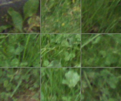 Panasonic Lumix G Vario 100-300mm F4-5,6