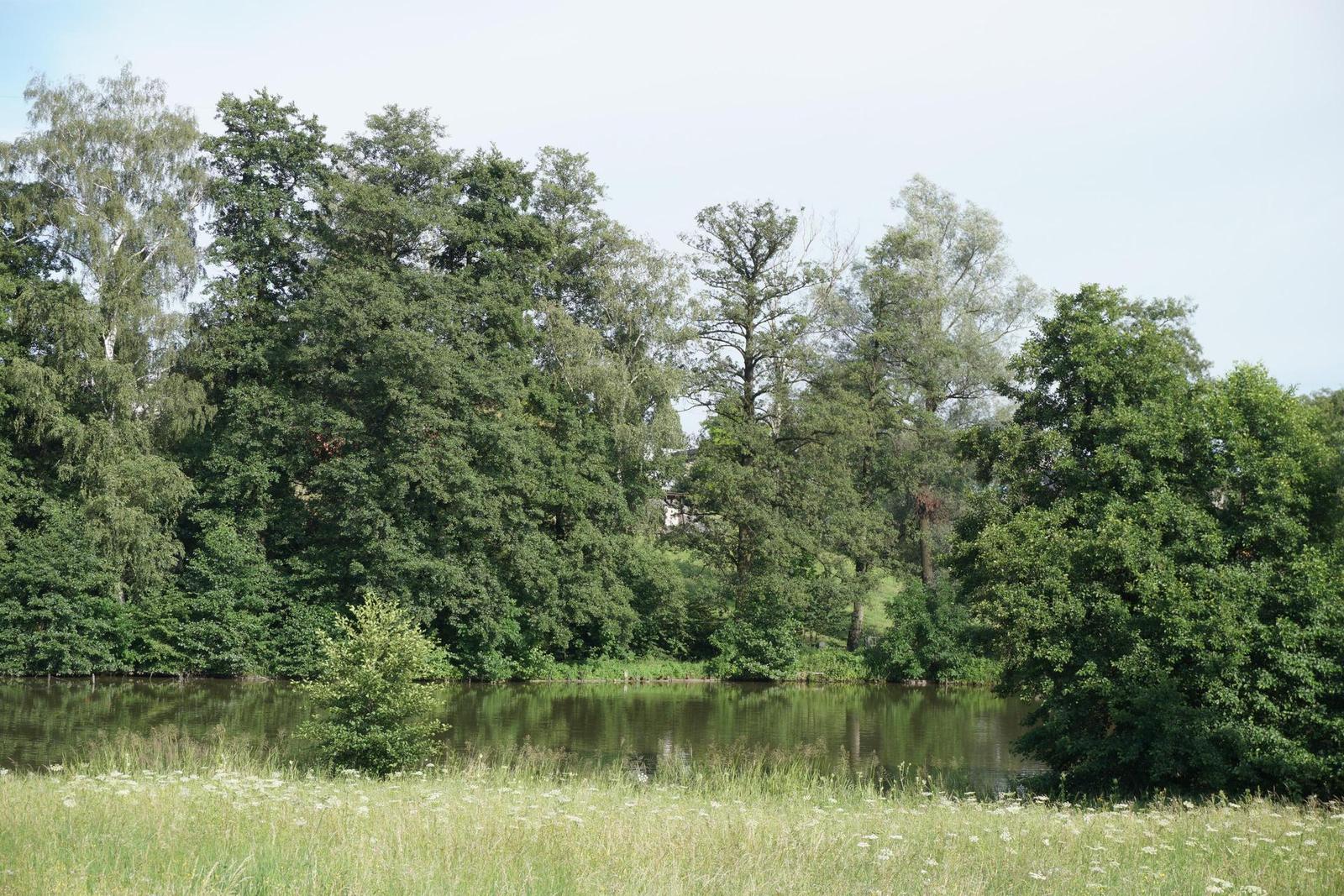 Sony A6300 (ILCE-6300): technologický extrémista