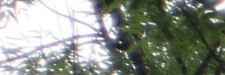 Minolta MD Rokkor 45mm F2.0 (MD)