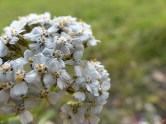 Panasonic Lumix FZ200: ultrazoomové překvapení roku