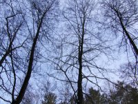 HP Photosmart R927: Vyvážené stříbro