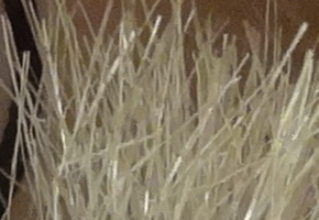 Sony Cyber-shot HX20V: umí snad všechno