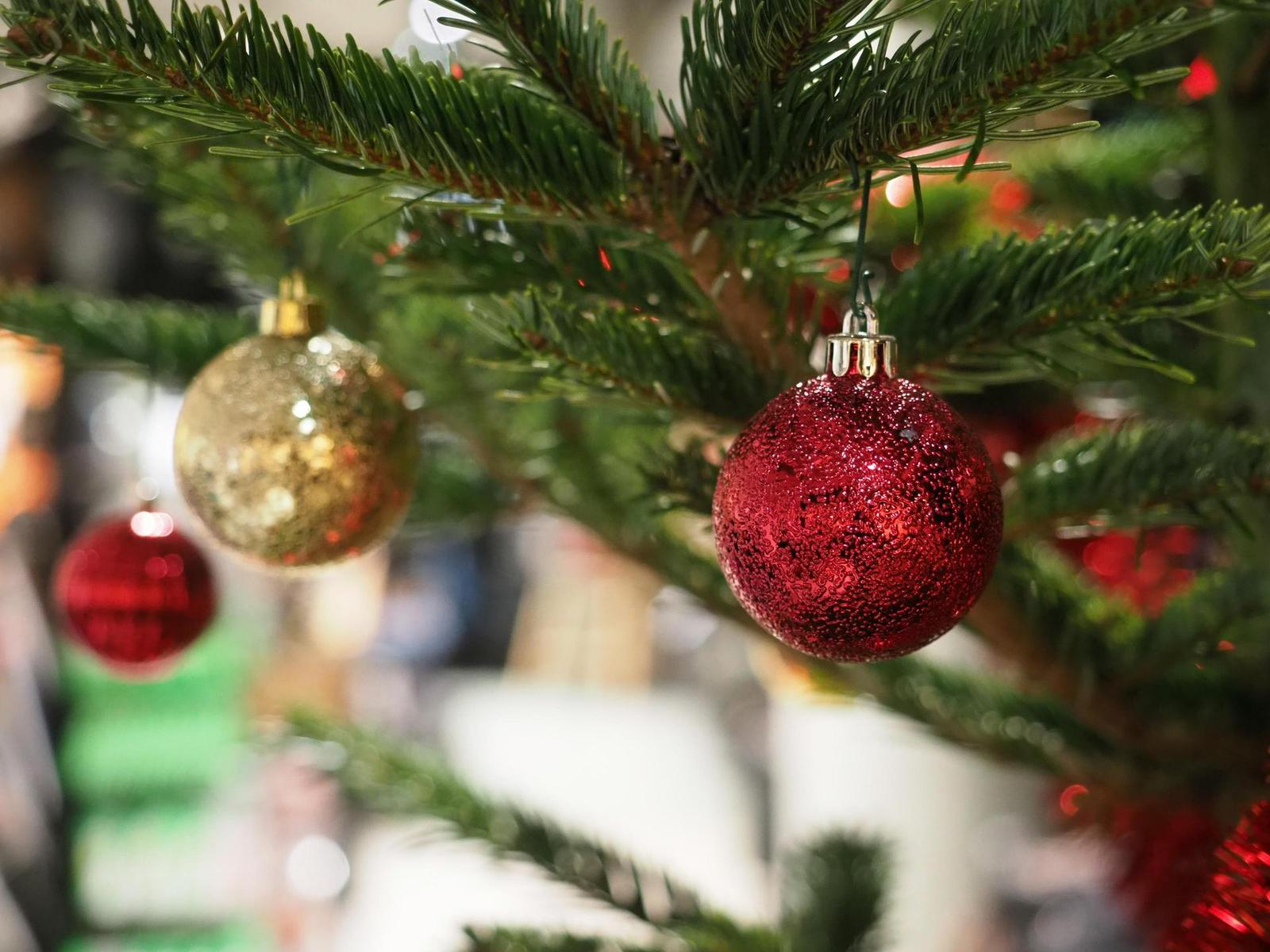 Olympus OM-D E-M1 Mark II: krátké seznámení