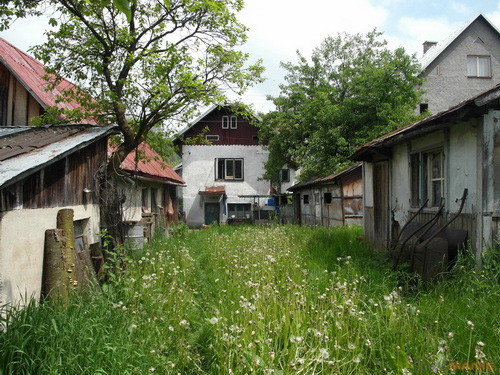 Samsung EX1: příjemné překvapení