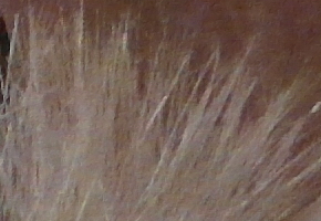 Samsung EX2F: významný krok vpřed