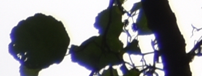 Tamron 16-300mm f/3.5-6.3 Di II VC PZD Macro