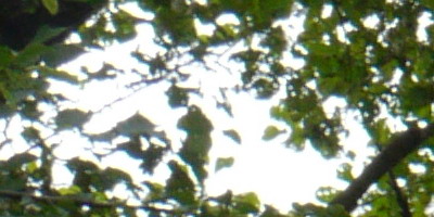 Panasonic Lumix G Vario 14-42mm F3,5-5,6 APSH.