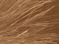 Olympus PEN E-PL2: PEN počtvrté a zase lépe