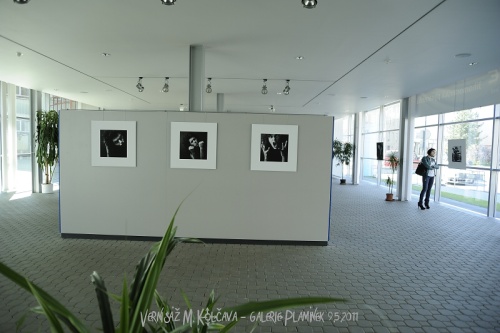 Zrcadlovka a já: Pravidla vernisáže