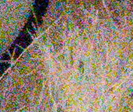 Sony A7R II (ILCE-7RM2): detaily na druhou