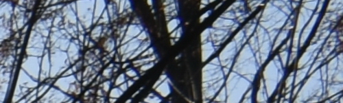 Nikon AF-P NIKKOR 18-55mm f/3.5-5.6G VR