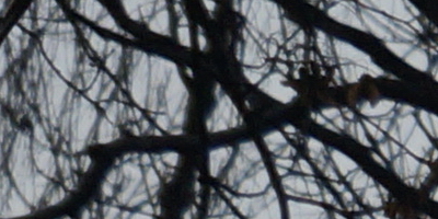 Sony DT 16-50mm F2.8 SSM