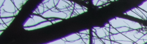 Canon EF-S 18-135mm f/3.5-5.6 IS Nano USM