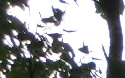 Casio EXILIM ZR100: kapesní formule