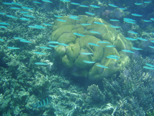 Modrý vesmír - tipy pro fotografování