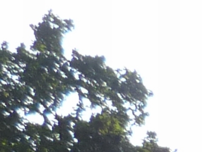 Panasonic Lumix FZ28: o krok blíže dokonalosti