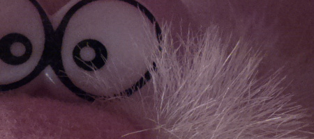 Nokia Lumia 1020 vs. 808 PureView