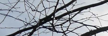 Panasonic Lumix G Vario 35-100mm F4-5.6 MEGA O.I.S.