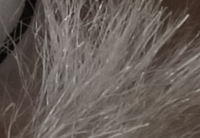 Sony SLT-A58: silný základ