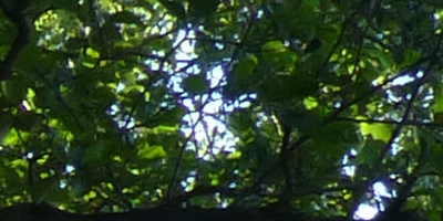 Panasonic Lumix TZ30: pokračovatel slavného rodu?