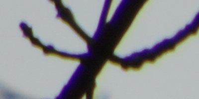 Sony SAL-18250 (DT 18-250mm F3,5-6,3)