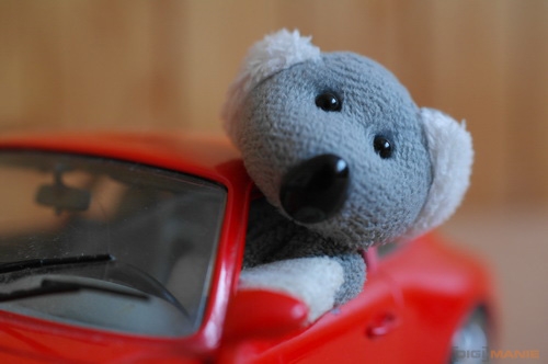 Fotíme s Koalou: Hloubka ostrosti