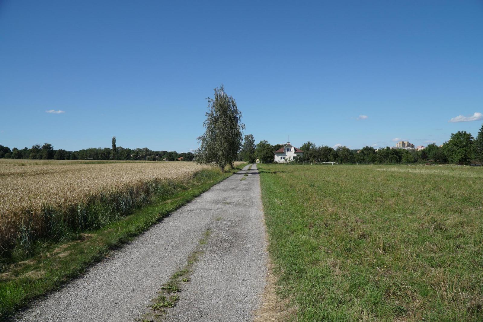 Sony E PZ 18-105mm F4 G OSS (SELP18105G)