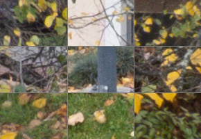 Panasonic Leica DG Vario-Elmarit 12-35mm / F2.8 ASPH. / Power O.I.S