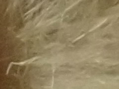 Sony Cyber-shot TX10: odolný zálesák