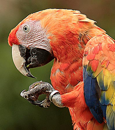 Úpravy fotografií v PC, 12. díl - doostřování