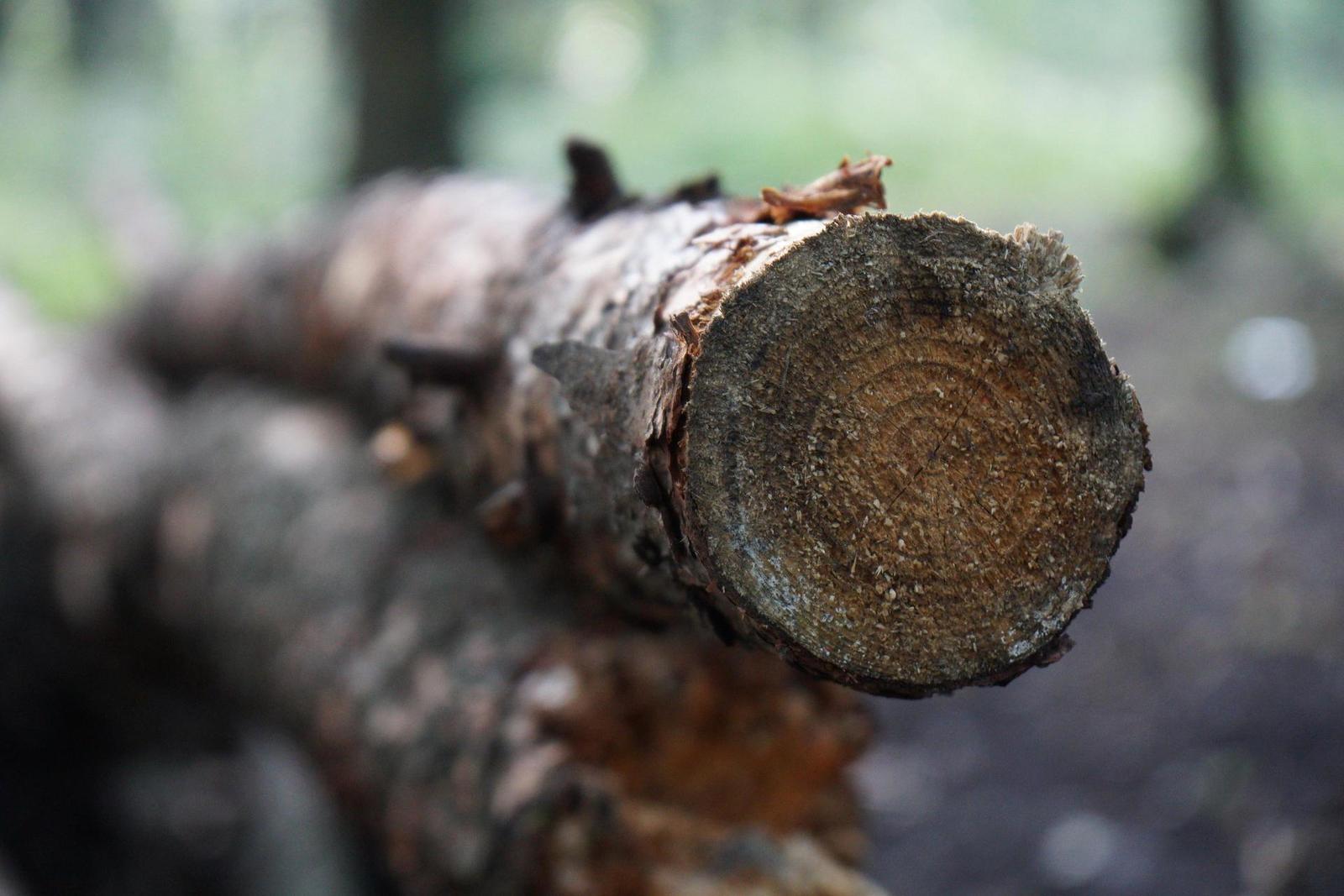 Sony Carl Zeiss Vario-Tessar T* 16-70mm F4 OSS (SEL1670Z)