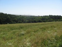 Canon PowerShot A540: Stříbrný šikula