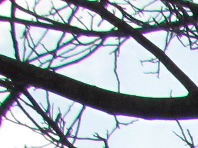 Canon PowerShot SX120 IS: zraje jako víno