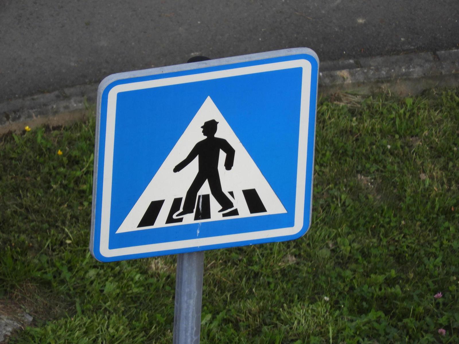 Nikon Coolpix B700: přírodovědec