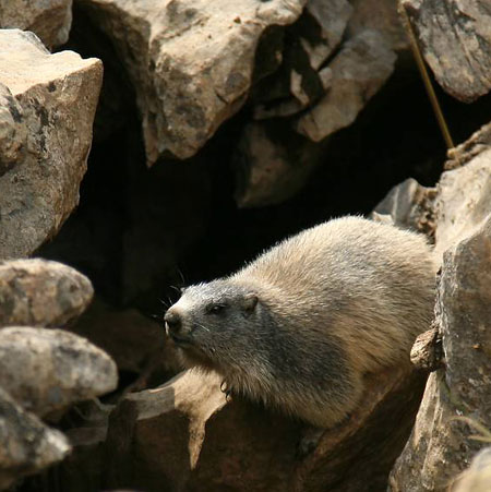 Po Pyrenejích s fotoaparátem – 3. díl